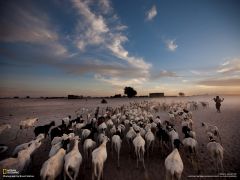 Tapeta National Geographic 757.jpg
